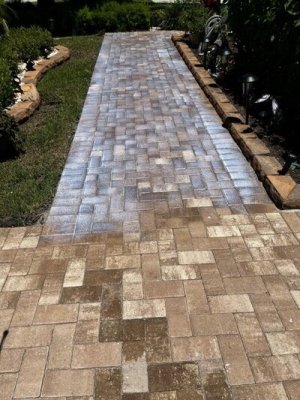 Seal Pavers